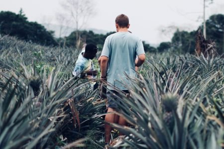 The Ultimate Guide to Booking Tours with Local Experts in Africa