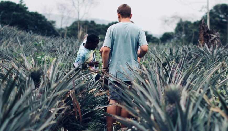 The Ultimate Guide to Booking Tours with Local Experts in Africa