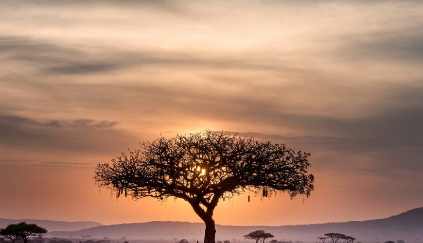 How to Travel Sustainably in Africa and Support Local Communities