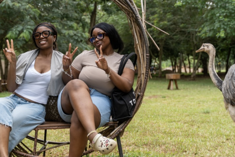 A Day at Safari Valley